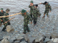 Ảnh bìa bài viết 427006