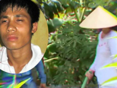 Ảnh bìa bài viết 426939