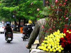Ảnh bìa bài viết 426956