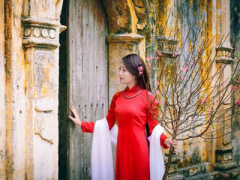 Ảnh bìa bài viết 427048