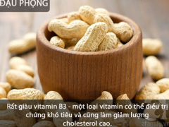 Ảnh bìa bài viết 427344