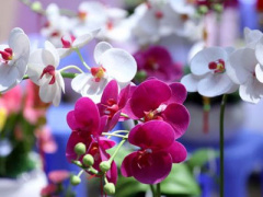 Ảnh bìa bài viết 427354