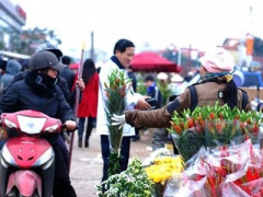 Ảnh bìa bài viết 427537
