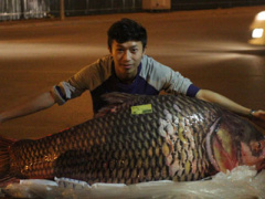 Ảnh bìa bài viết 428047