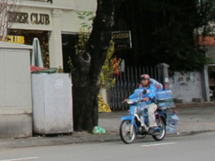 Ảnh bìa bài viết 428165