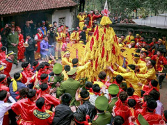 Ảnh bìa bài viết 428261
