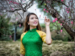 Ảnh bìa bài viết 428287