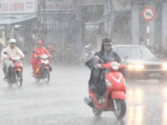 Ảnh bìa bài viết 428336