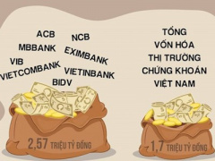 Ảnh bìa bài viết 428497