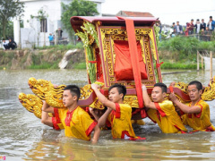 Ảnh bìa bài viết 428567