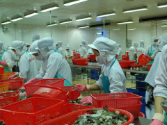 Ảnh bìa bài viết 428849