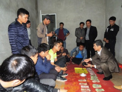 Ảnh bìa bài viết 428901