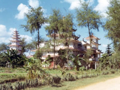 Ảnh bìa bài viết 429071