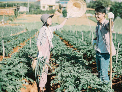 Ảnh bìa bài viết 428965