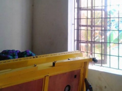 Ảnh bìa bài viết 429238