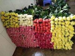 Ảnh bìa bài viết 429838