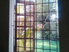 Ảnh bìa bài viết 429631