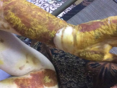 Ảnh bìa bài viết 430044