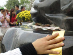 Ảnh bìa bài viết 429883