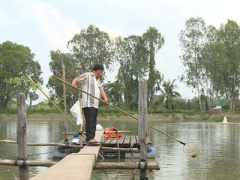 Ảnh bìa bài viết 429977