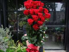 Ảnh bìa bài viết 429868