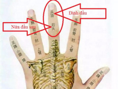 Ảnh bìa bài viết 430444