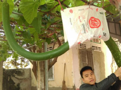 Ảnh bìa bài viết 430639
