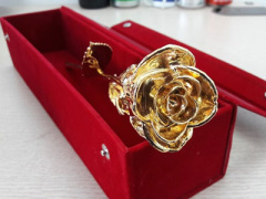 Ảnh bìa bài viết 431023