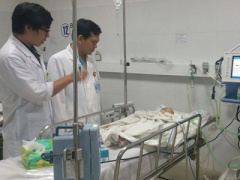 Ảnh bìa bài viết 431160