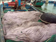 Ảnh bìa bài viết 431476