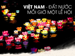 Ảnh bìa bài viết 431373