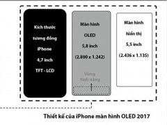 Ảnh bìa bài viết 431678