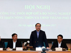 Ảnh bìa bài viết 431981