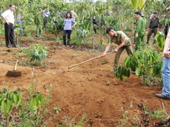 Ảnh bìa bài viết 432006