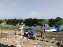Ảnh bìa bài viết 432103
