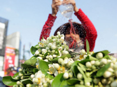 Ảnh bìa bài viết 432323
