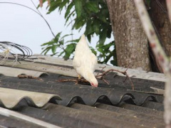 Ảnh bìa bài viết 432355