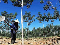 Ảnh bìa bài viết 432512