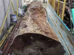 Ảnh bìa bài viết 432752
