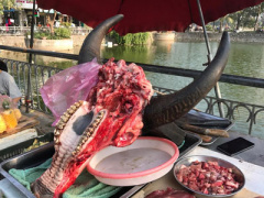 Ảnh bìa bài viết 433001