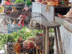 Ảnh bìa bài viết 432854