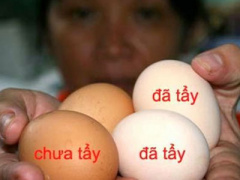 Ảnh bìa bài viết 433261