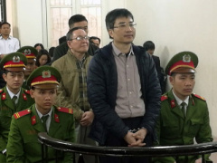 Ảnh bìa bài viết 433184