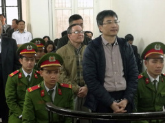 Ảnh bìa bài viết 433282