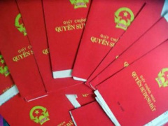 Ảnh bìa bài viết 433381