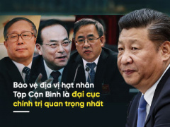 Ảnh bìa bài viết 433611
