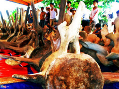 Ảnh bìa bài viết 433488