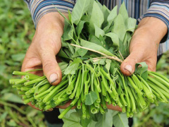 Ảnh bìa bài viết 433872