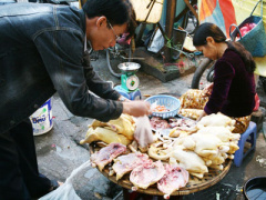 Ảnh bìa bài viết 433783