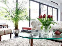 Ảnh bìa bài viết 433770
